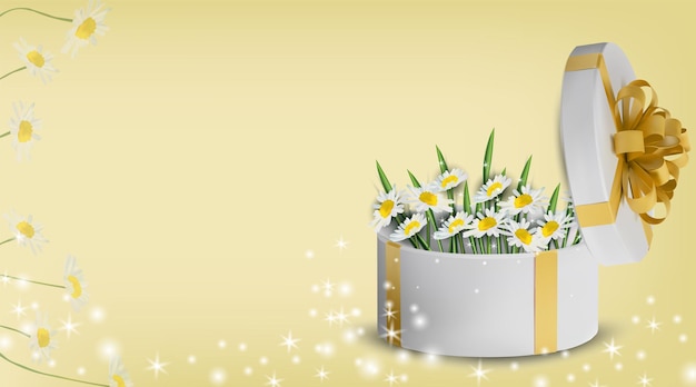 Floral collection chamomile in the gift box. Love concept, Mother's Day.  illustration.