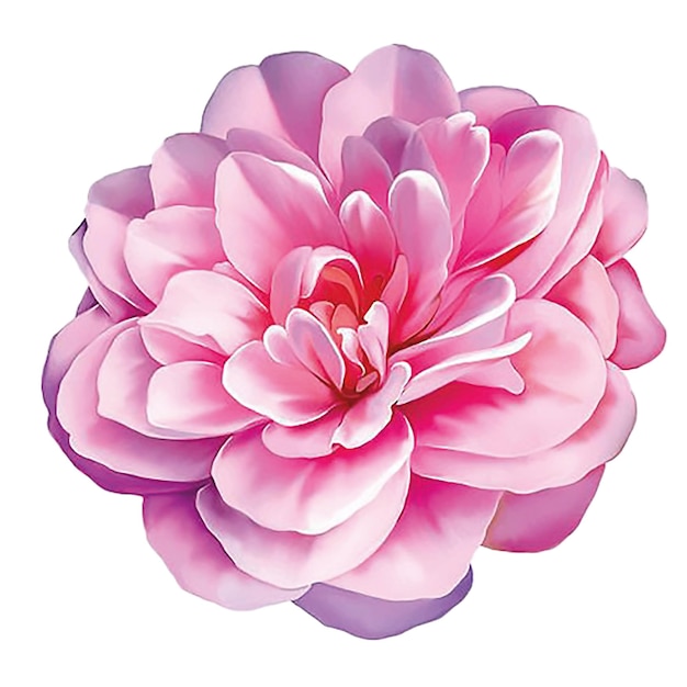 Цветочная коллекция. украшение цветами иллюстрация красных и персиковых розовых цветов, листьев, ветвей