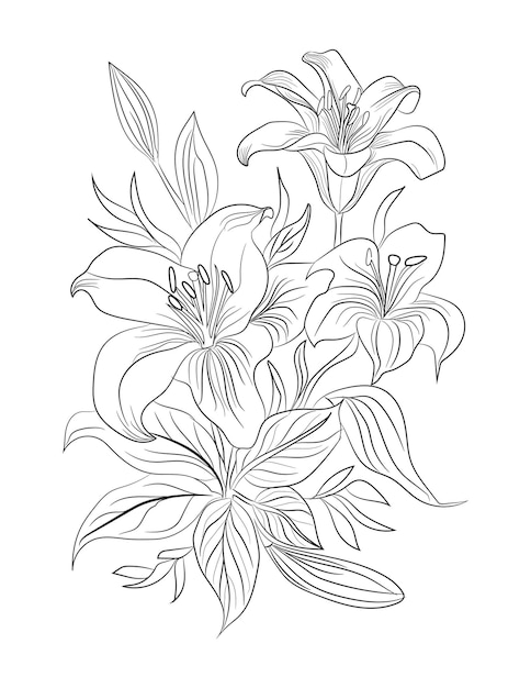 Vector floral coloring page floral line art illustration