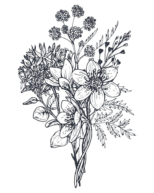 Vettore composizione floreale. bouquet con piante e fiori disegnati a mano. illustrazione monocromatica nello stile di abbozzo.