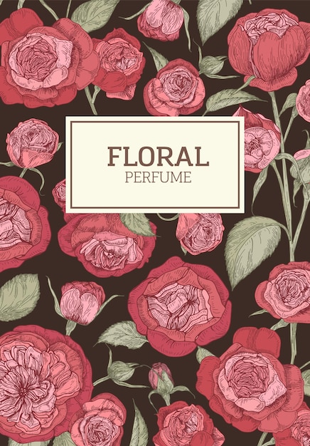 Vector floral composition for perfume packaging with red english rose flowers