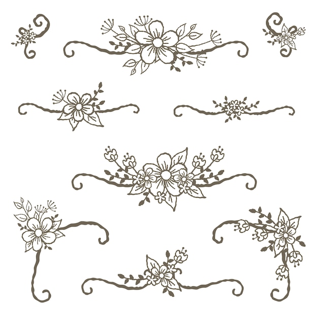 Vector floral corners dividers and lines decoration