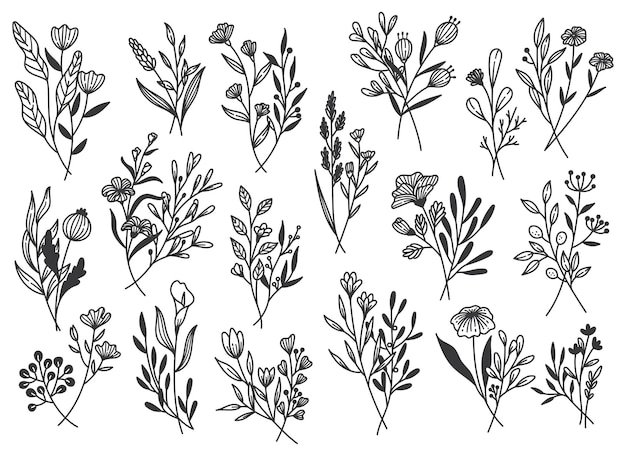 Elemento di design per decorazioni floreali in doodle line art vector illustration