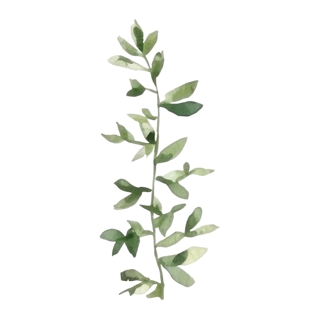 floral decoration set botanic arrangements with colorful flowers leaf branch flower elements for wedding greeting card or logo composition design vector illustration