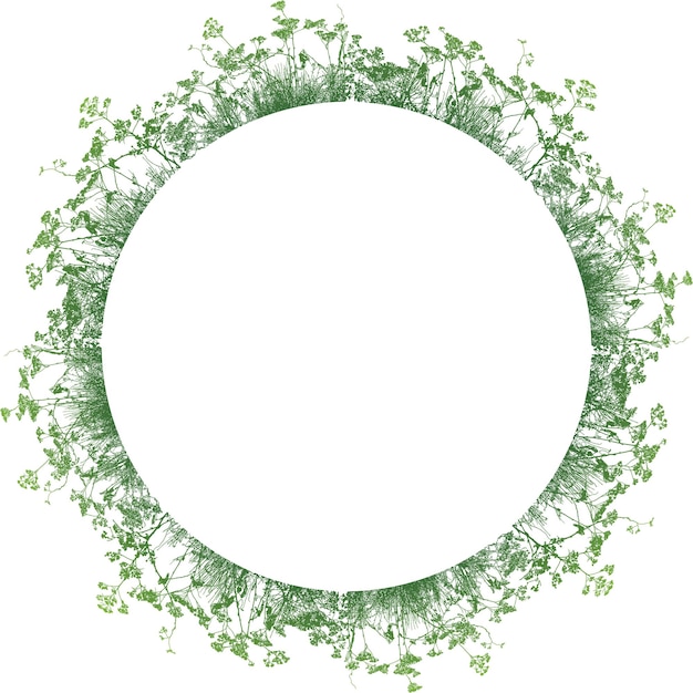 Floral decorative circle frame from silhouettes grass and wildflowers