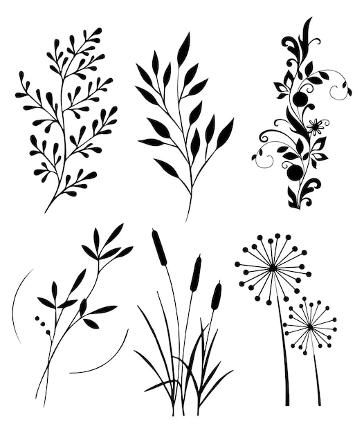Floral decorative elements Sketches of flowers plants leaves