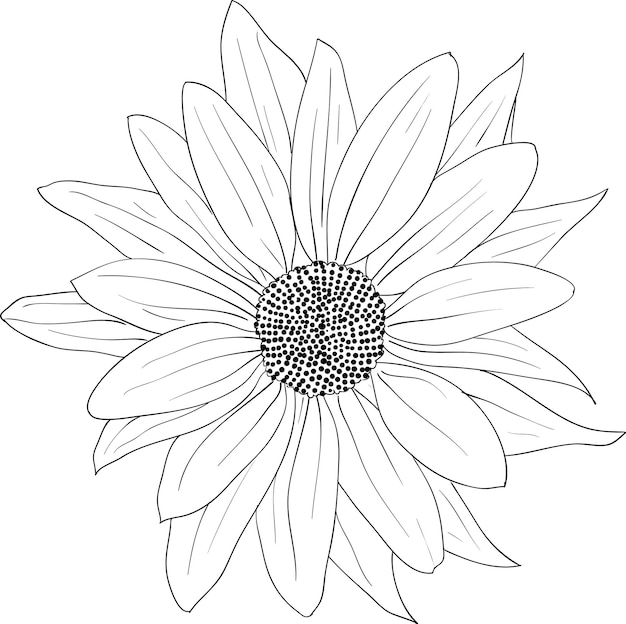 Vector floral design element en handgetekende vectorillustratie