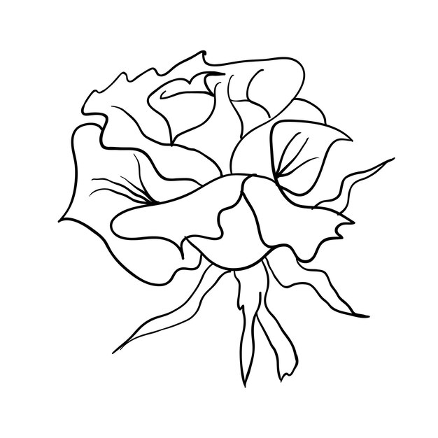 Vector floral design element en handgetekende vectorillustratie