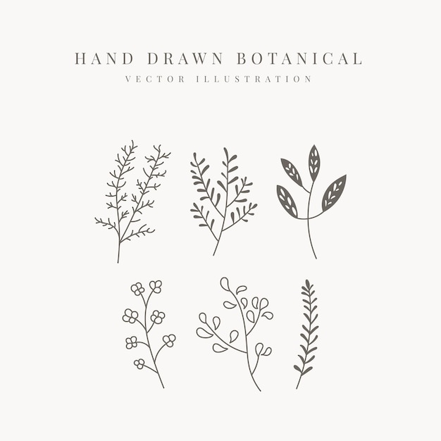 Floral element hand drawn botanical vector illustration