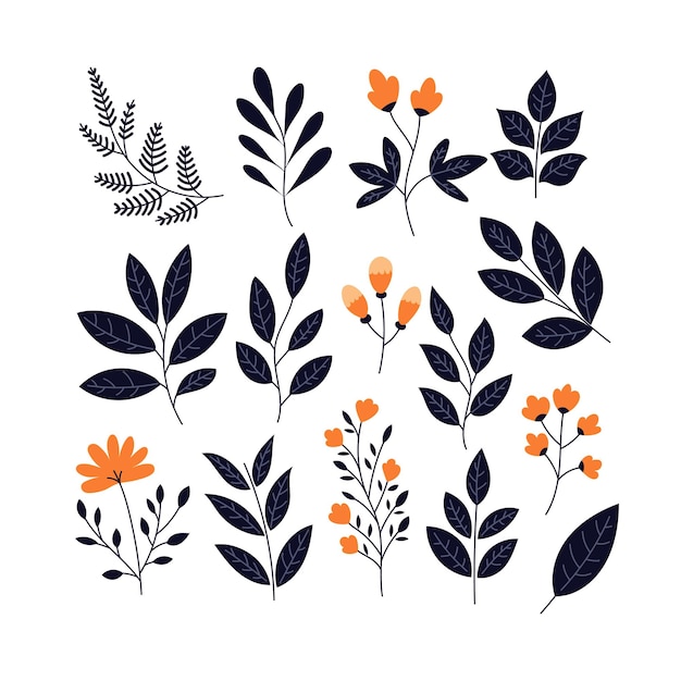 Floral element hand drawn botanical vector illustration