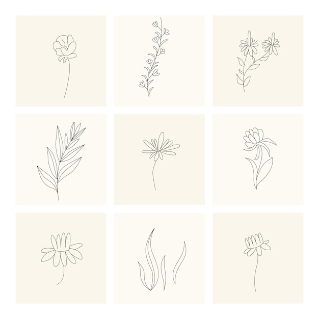 Floral elements collection of hand drawn plants design