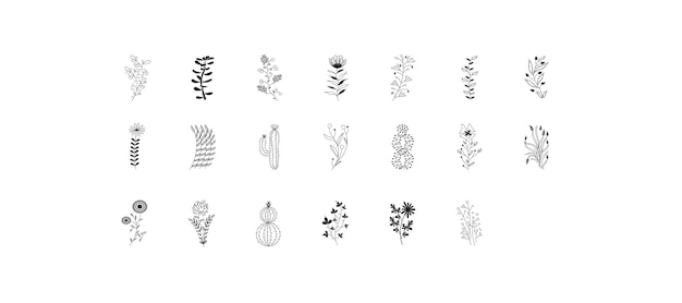 Vector floral elements set