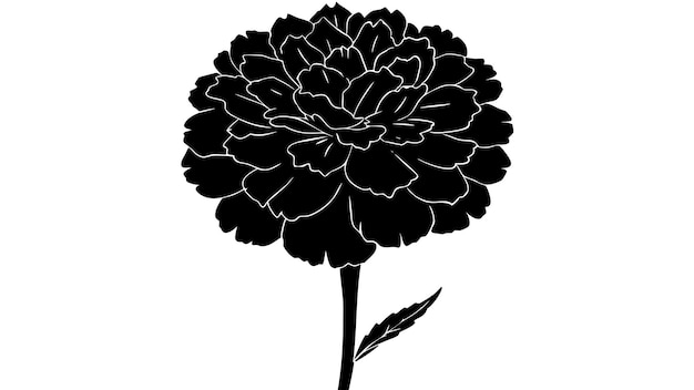 Floral Elements Silhouette Vector Illustration
