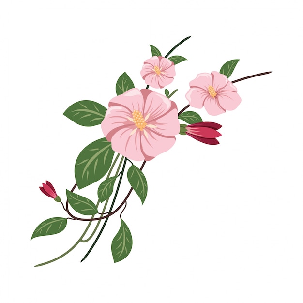 Vector floral elements vector