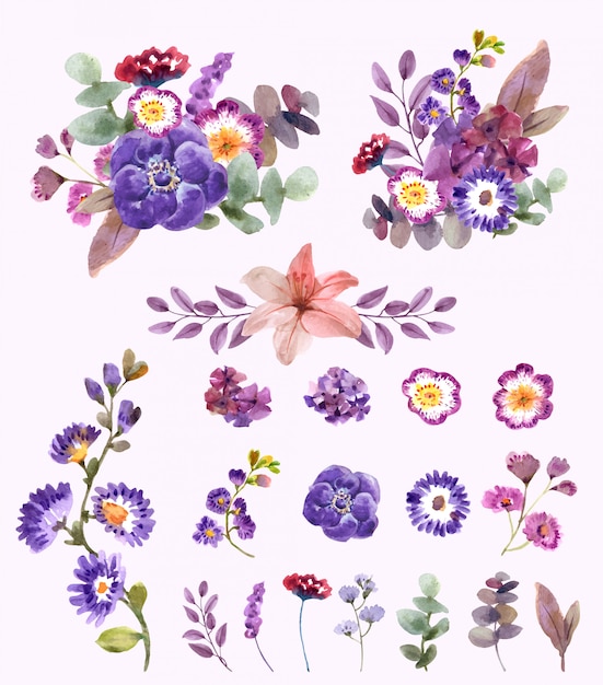 Vector floral elements watercolor set