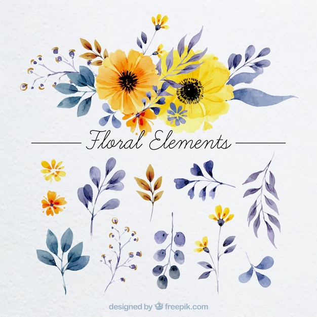 Vector floral elements in watercolor style