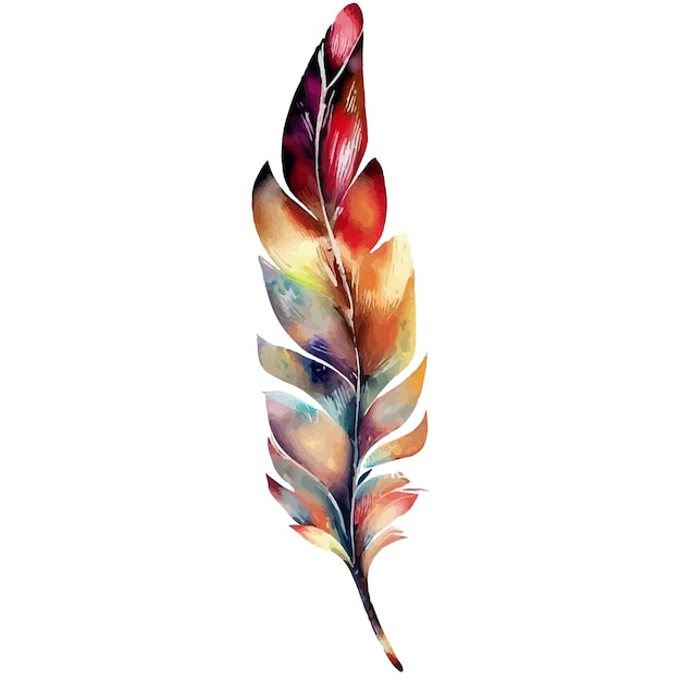 Floral feather clipart watercolor