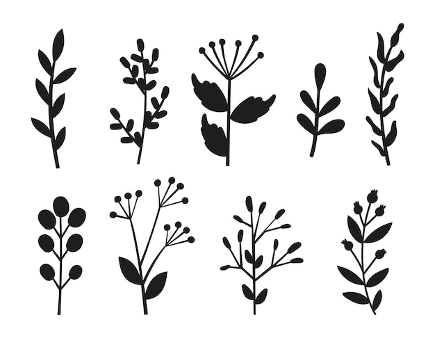 Floral Flower and leafs isolated vector Silhouette