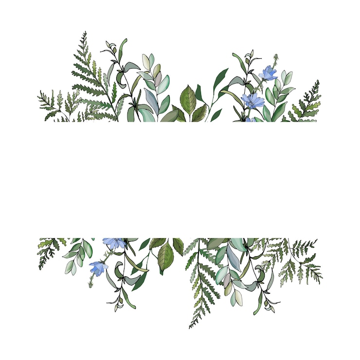 Vector floral frame from fern, eucalyptus branches, green leaves, herbs, blue chicory flowers.