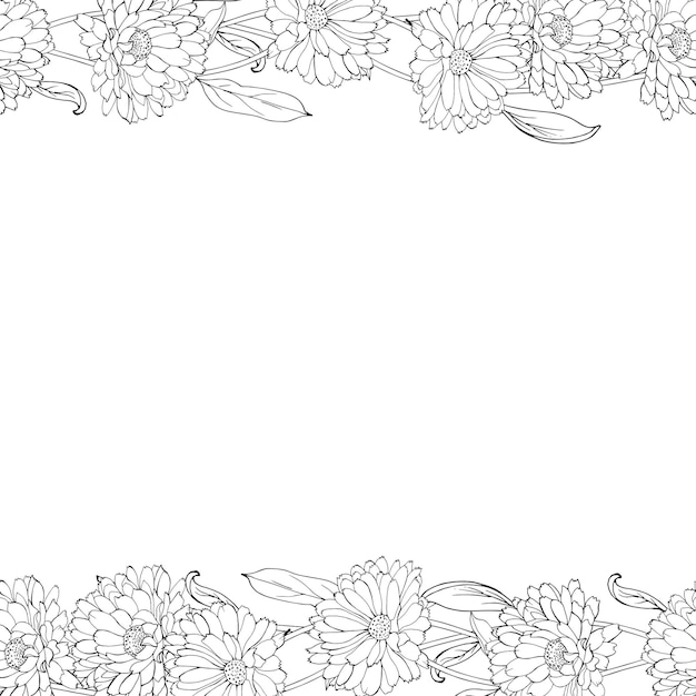 Vector floral frame from outline flowers of calendula.