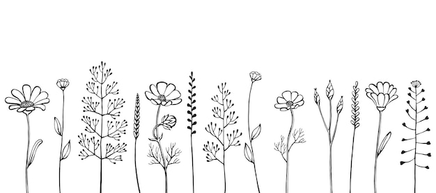 Vettore cornice floreale fatta di erbe e fiori selvatici elementi floreali disegnati a mano illustrazione vettoriale