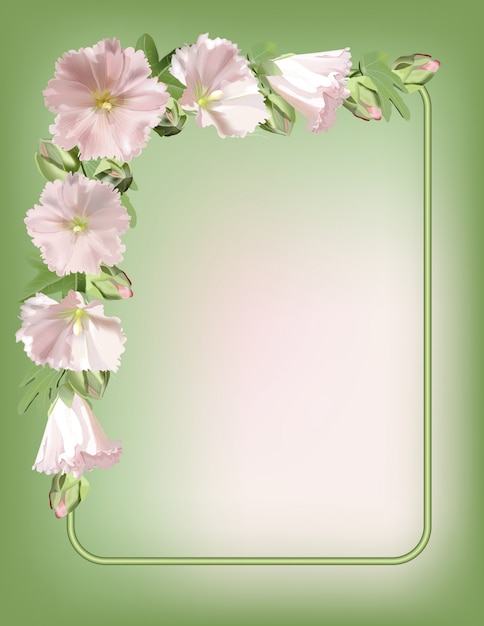 floral frame with mallow flowers.  background