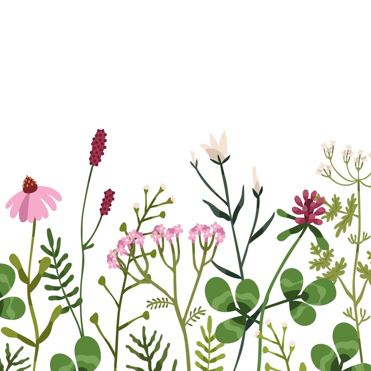 Vector floral grens op vierkante achtergrond. botanische kaart met wilde bloemen en kruidenplanten. achtergrond met verschillende delicate veld- en weidewildflowers. geïsoleerde gekleurde platte vectorillustratie.