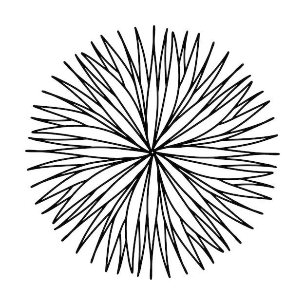 Floral hand drawn aster mandala flowers in doodle style isolated on white background Funny and cute coloring for seasonal design textile decoration kids playroom or greeting card Chrysanthemum