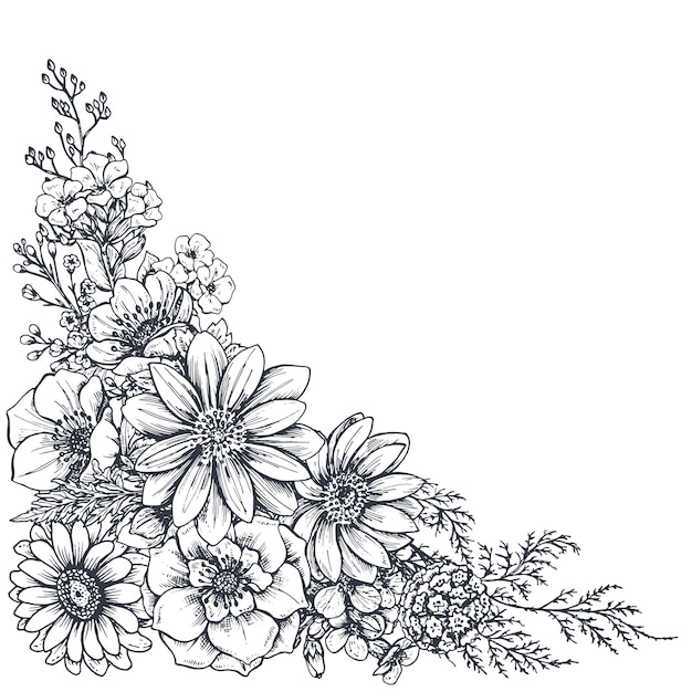 Vector floral hand drawn flowers and plants.