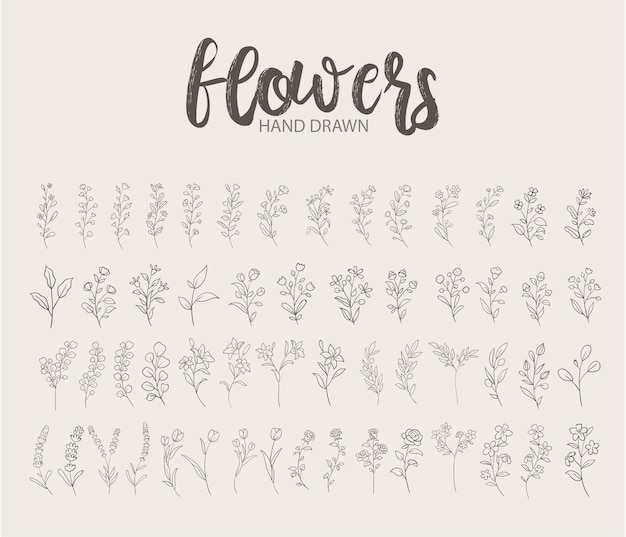 Vector floral handgetekende logo