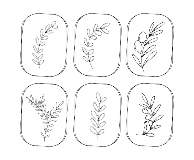 Floral Icon Illustrations Collection Isolated on a White Background