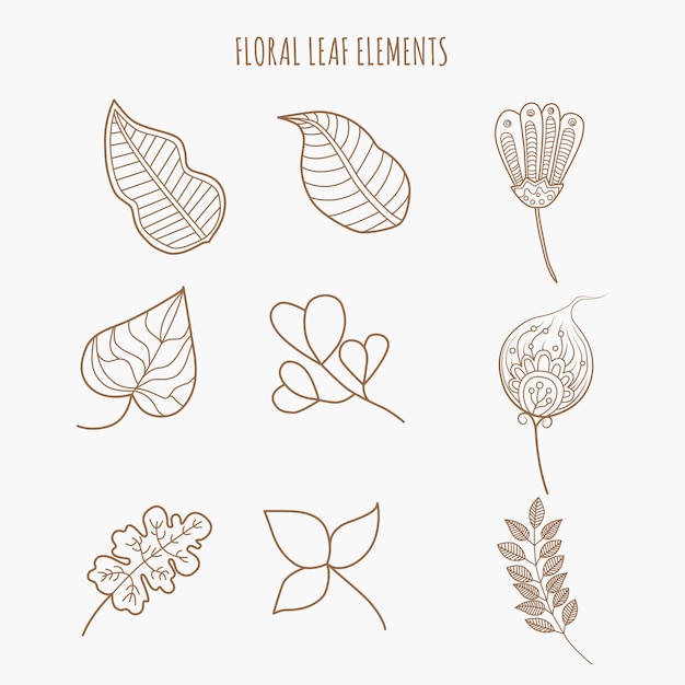 Цветочные листовые элементы. Нарисованный от руки. Doodle Leaf.
