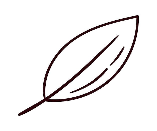 Vector floral leaf lined