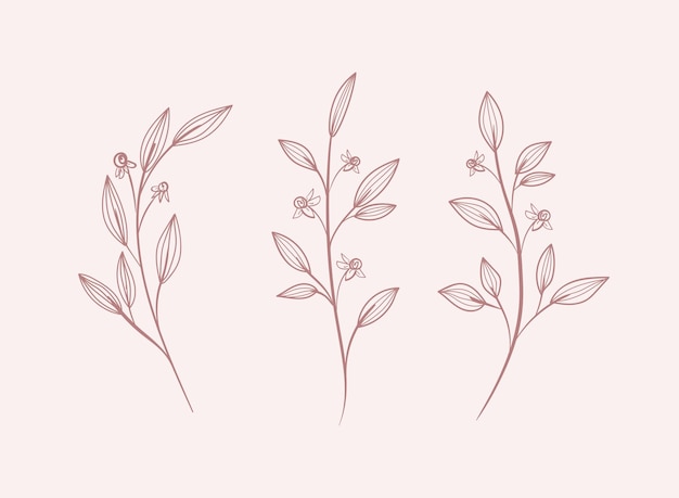 floral leaves line clip art