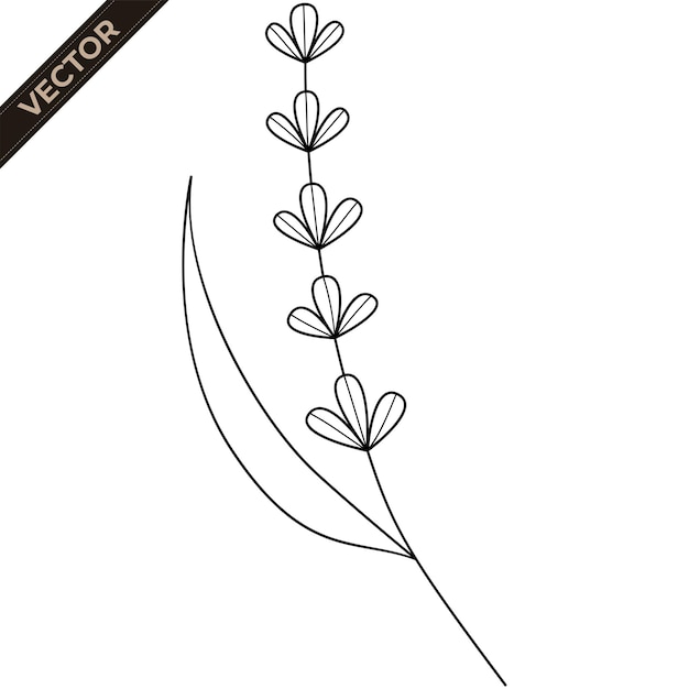 Floral line art Design element with floral theme