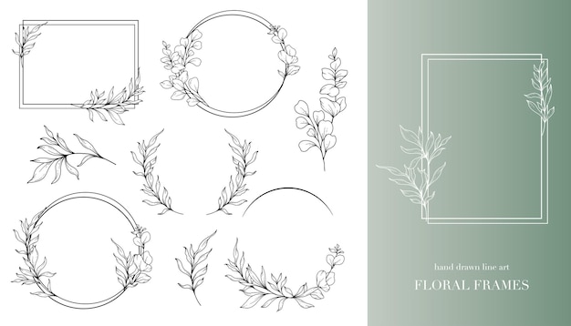 ベクトル フローラル・ライン・アート ユーカリの花の輪郭 手描きの輪郭 ユーカリの孤立