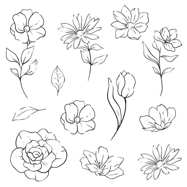 Vector floral line art greenery outline illustratie voor kleurplaten en minimalistisch modern huwelijk