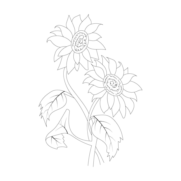 Floral Line art Illustration