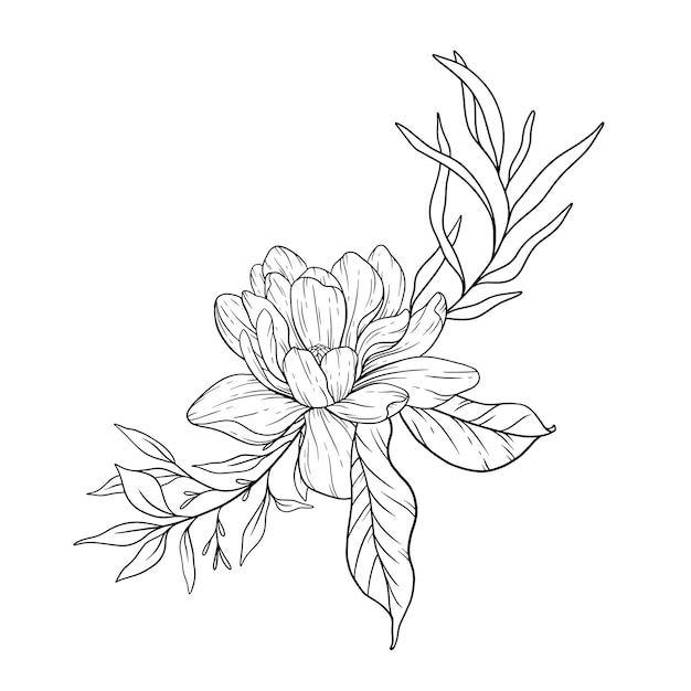 Floral Line Art Magnolia Outline Illustration Magnolia FLower Line Art