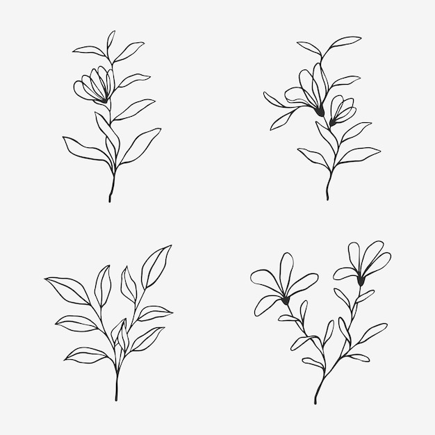 Floral line art minimal design collection