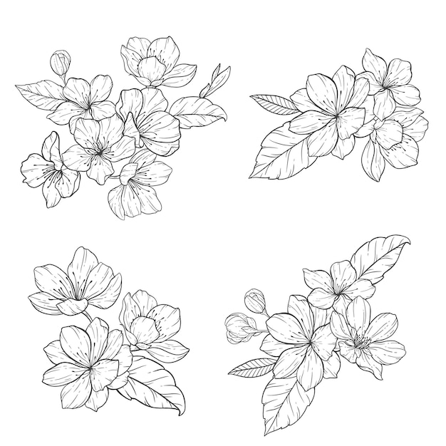 Floral Line Art, Sakura Flower Outline Illustration Set, Sakura Branch Black and White