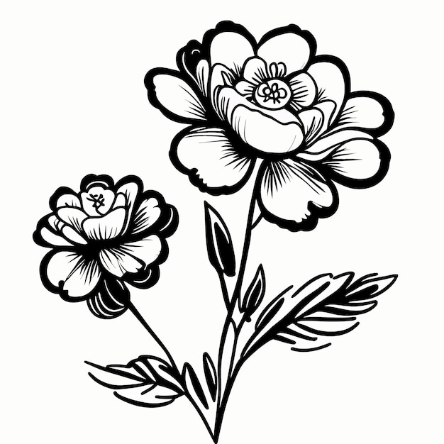 Vector floral lineart artwork of 2d flowers in black and white meticulously outlined to create an elegant