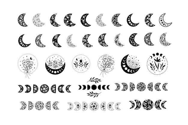 Vector floral moon phase vector illustration set