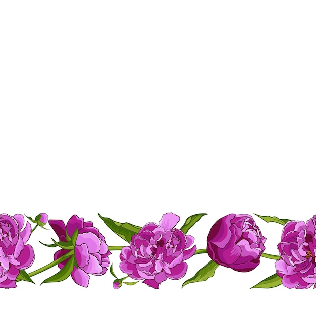 Floral motif border with pink pionies leaves buds