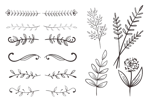꽃 자연 식물 Leafes 스케치 디자인 요소 컬렉션