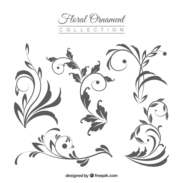 Floral ornaments collection