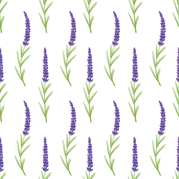 Floral pattern background template design with lavender flowers.