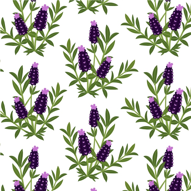 Vector floral pattern background