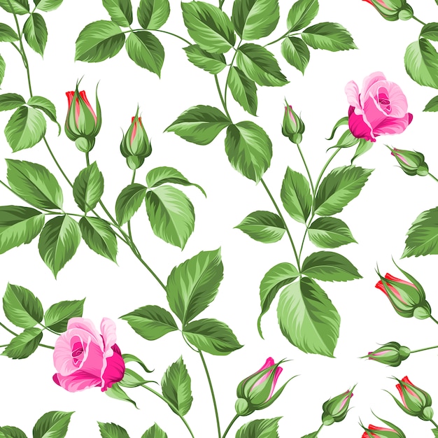 Vector floral pattern design