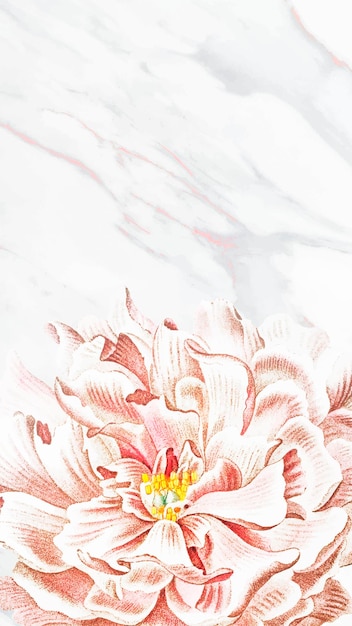 Vector floral peony mobile phone wallpaper vector